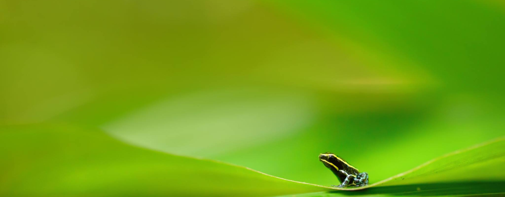 Výběr nejlepších fotografických snímků z prestižní fotosoutěže Czech Press Photo ve Valašském Meziříčí