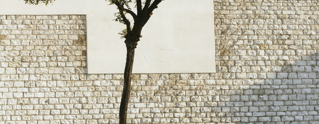 PRO VELKÝ ZÁJEM PRODLUŽUJEME OTEVÍRACÍ DOBU VÝSTAVY CZECH PRESS PHOTO VE VALAŠSKÉM MEZIŘÍČÍ