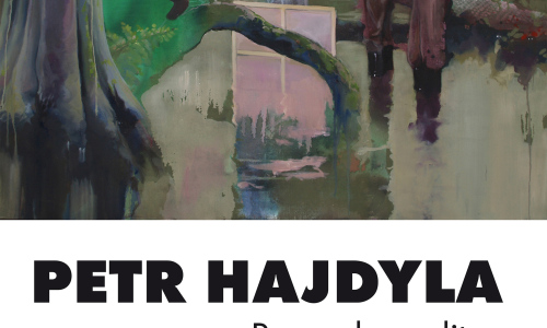 Petra Hajdyla zakončí svou výstavu v galerii Kaple ve Valašském Meziříčí komentovanou prohlídkou.